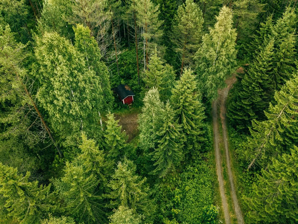 Environment monitoring using drones